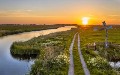 ISO 14001 İle Çevre Yönetimi