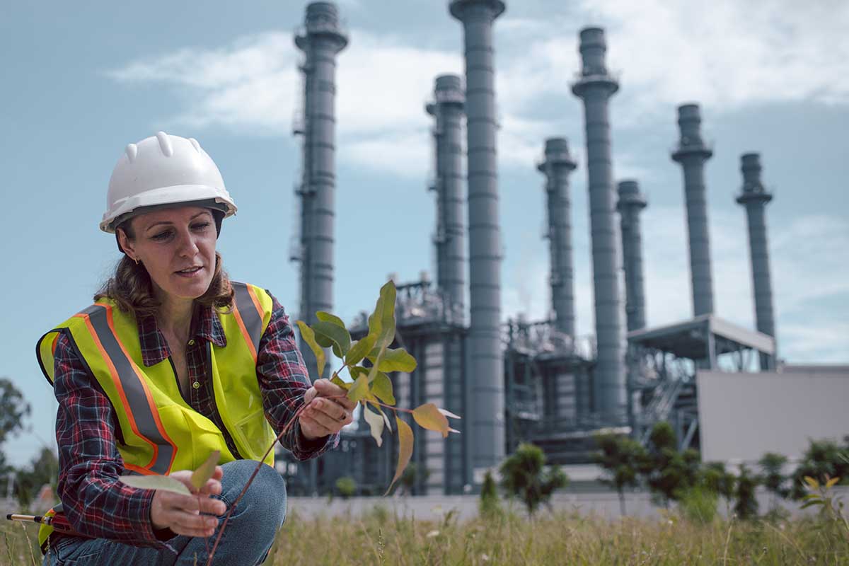 ISO 14001 Belgesi Fiyatı